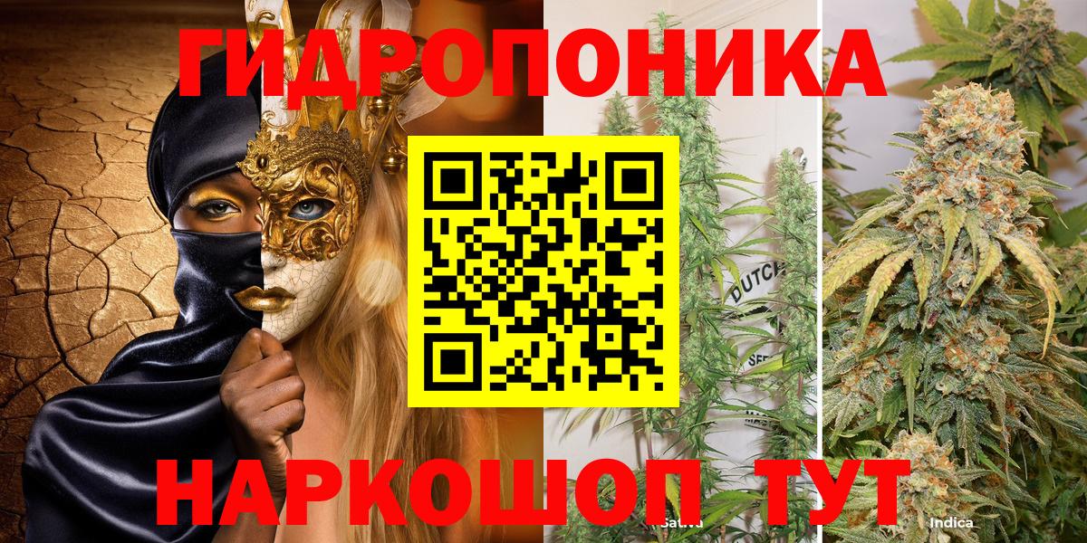 Бошки марихуана планчик  Шишки марихуана сатива  Ухта  Вход с VPN  Каннабис гибрид 
